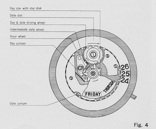 Day and date driving wheel