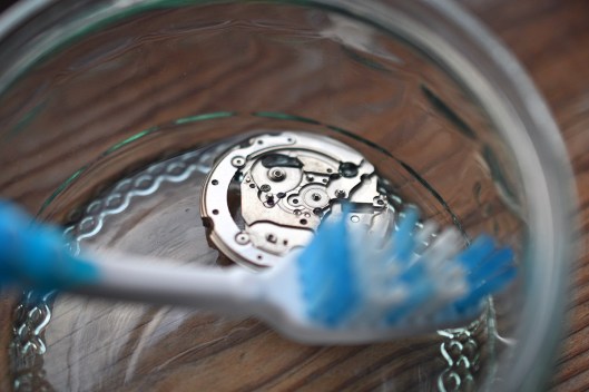 A movement in a ramiken filled with petroleum fluid and with a toothbrush in shot